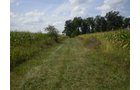 Property photo 6 - 40 Acres in 4 Tracts - Great Location!
